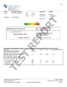 SynTuition Sample Test Report_Postive